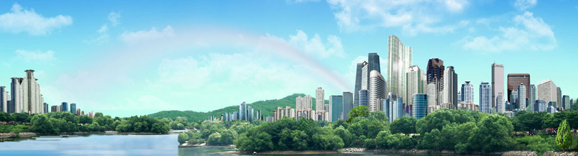 服務(wù)項(xiàng)目 服務(wù)項(xiàng)目