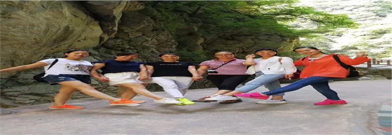 養(yǎng)眼┃臻誠實業(yè)財務(wù)科太平森林公園一日游