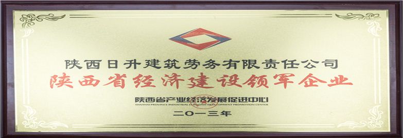 陜西省經(jīng)濟(jì)建設(shè)領(lǐng)軍企業(yè)